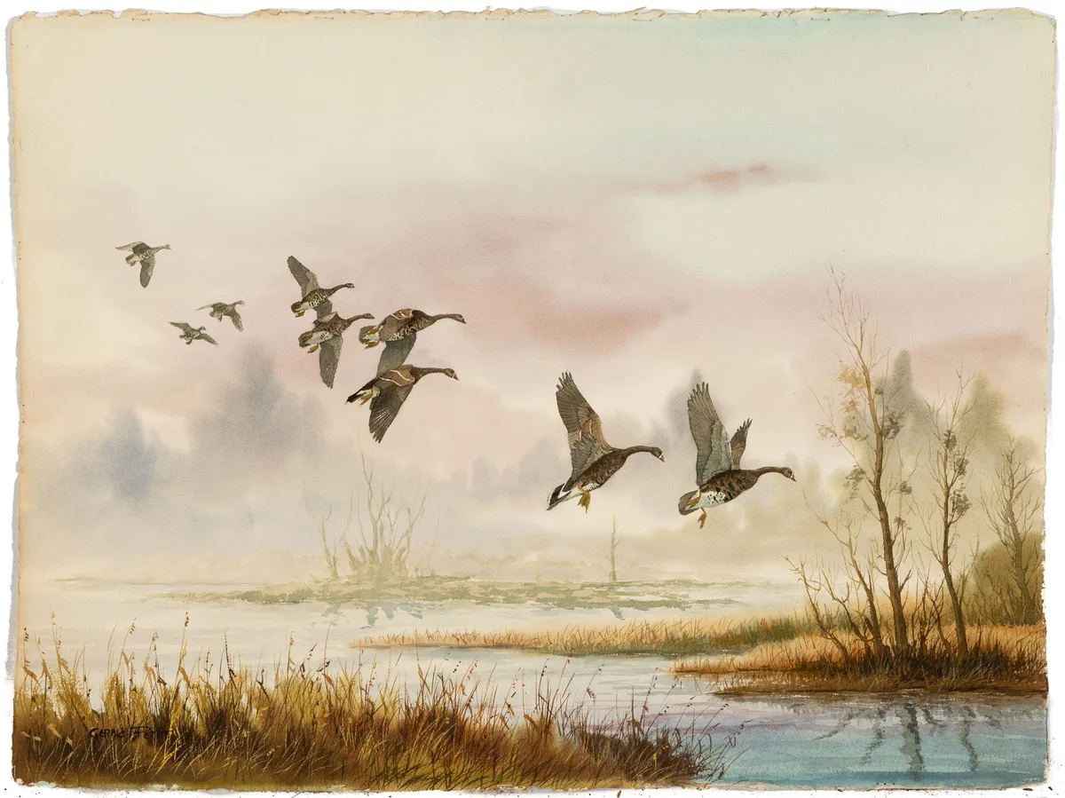 Gerald Petitt, Wild Geese, Watercolor on paper