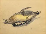 Richard Jerzy, Bird, 1996, Watercolor