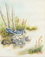 Regina Engelhardt, Untitled, Watercolor and Gouache on Paper