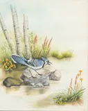 Regina Engelhardt, Untitled, Watercolor and Gouache on Paper