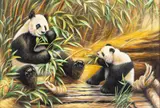 Regina Engelhardt, Pandas, Oil on Canvas Board