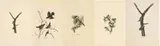 John James Audubon, Untitled, Offset Lithographs on Rag Paper, Amsterdam Edition, Ca. 1971, 'Brown-headed Nuthatch, Red Winged Starli