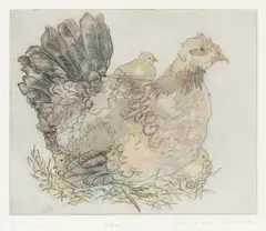 Susan Sands, Hen, Color Etching on Paper