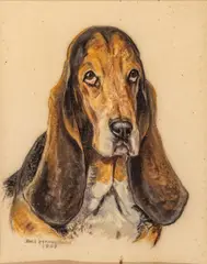 William "Bill" McPherson, Basset Hound, 1969, Watercolor And Gouache on Niagara Paper