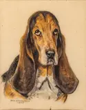 William "Bill" McPherson, Basset Hound, 1969, Watercolor And Gouache on Niagara Paper