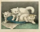 Currier And Ives, The Three White Kittens, War, Hand Colored Lithograph on Paper