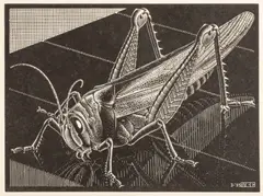 M. C. Escher, De Graphicus M.C. Escher, 1940, Wood Engravings on Paper