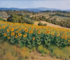 Walter Marchese, Girasoli *(Sunflowers), Oil on Canvas