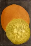 Arthur Luiz Piza, Eclipse, 1969, Etching And Aquatint with Carborundum on Vellum