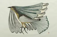 Eliyakota Samualie, Untitled, Lithograph on Paper 1981, "Flying in a Strong Wind"