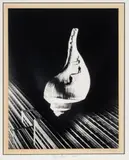 Barbara Morgan, Silver Gelatin, Print