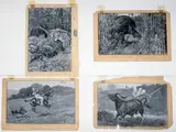 Edward Henry Corbould, s "Big Game Hunting in India", H 5.7', Gouache on Paper 1896, Pollack