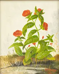 Frederick Papsdorf, Untitled, Oil on Canvas, 1963, "Poppies"