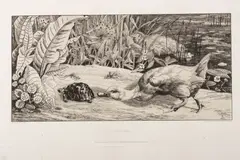 Félix Bracquemond, Untitled, Etching And Drypoint on Wove Paper, 1862, L'Inconnu