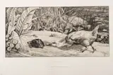 Félix Bracquemond, Untitled, Etching And Drypoint on Wove Paper, 1862, L'Inconnu