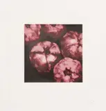 Donald Sultan, Untitled