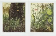 Adam Kwaśny, TRAWY (Para grafik), 1983, akwaforta, akwatinta barwna, papier