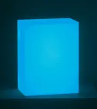 Leon Tarasewicz, LIGHTBOX