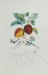 Salvador Dalí, SMOCZE JABŁKO, 1969/70, sucha igła, litografia barwna, papier