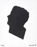 Ryszard Winiarski, STENIA