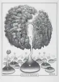 Jacek Yerka, CYWILIZACJA KROPELKOWA, 2026, ołówek, karton