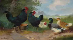 Max senior Haenger, KACZKI I KURY, olej, deska