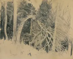 Leon Wyczółkowski, LAS, ołówek, kredka, papier