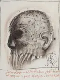Franciszek Starowieyski, FRENOLOGIA WILKOŁAKA, 2001, pastel, papier