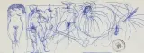 SZKICE AKTÓW by Franciszek Starowieyski, długopis, papier, offered Jul 2025