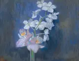 Piotr Stachiewicz, KWIATY, pastel, tektura