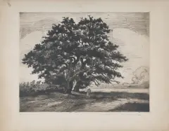 Jan Peske, SPACER, akwaforta, papier