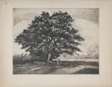 Jan Peske, SPACER