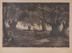 Jan Peske, W GAJU OLIWNYM, akwaforta, papier