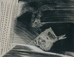 Erna Rosenstein, KOMPOZYCJA Z RYBĄ, 1963, pastel, węgiel, gwasz, papier nakl. na tekturę