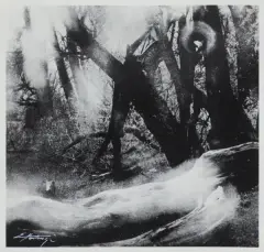 Edward Hartwig, FRAGMENT PUSZCZY, fotografia czarno-biała (vintage)