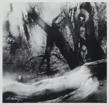 Edward Hartwig, FRAGMENT PUSZCZY