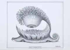 Jacek Yerka, GĄSZCZ ALGEBRAICZNY - 9, 2024, ołówek, karton