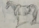 Piotr Michałowski, KOŃ, ołówek, papier