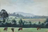Irena Weissowa Aneri, LETNI PEJZAŻ Z KROWAMI, olej, tektura