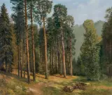 Konstanty Mackiewicz, W SOSNOWYM LESIE