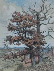Jan Peske, SAMOTNE DĘBY, akwarela, gwasz, kredka, papier