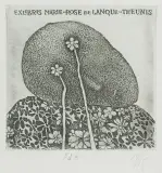 Stasys Eidrigevičius, EKSLIBRIS MARIE-ROSE DE LANQUE-THEUNIS, 1980, akwaforta, akwatinta, papier