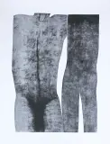 Jolanta Johnsson, HUMAN 6, folioryt, karton