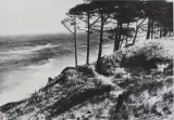 Edward Hartwig, USTKA – WYBRZEŻE MORSKIE, fotografia czarno-biała, papier