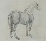 Piotr Michałowski, KOŃ, ołówek, papier