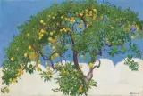 Edward Okuń, CYTRYNY, 1910, olej, płótno