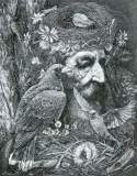 Victoria Timofeeva, DRUID, 2021, tusz, papier