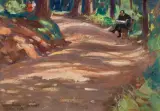 Bronisława Rychter-Janowska, PARK W KRYNICY GÓRSKIEJ