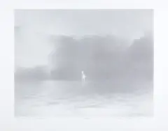 Anna Jelonek-Socha, MÓJ KOŃ I, 1992, litografia, papier