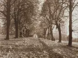 Zofia Rydet, JESIEŃ W RABCE, 1975, fotografia sepiowa